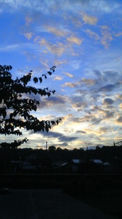 070819_1816~01.jpg