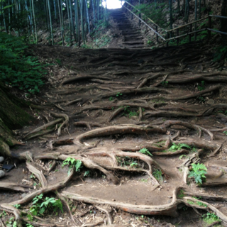 image-20120817233752.png