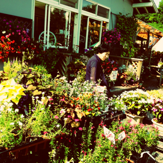 image-20120824231513.png