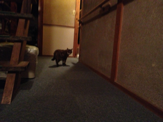 image-20130809223333.png