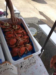 image-20130818220219.png
