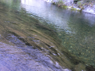 image-20130818231349.png
