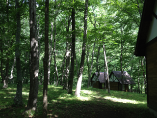 image-20130818231536.png