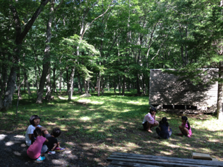 image-20130818231945.png