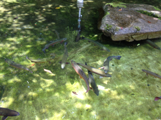 image-20130818235625.png