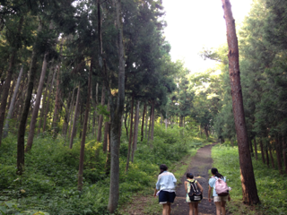 image-20130820211641.png